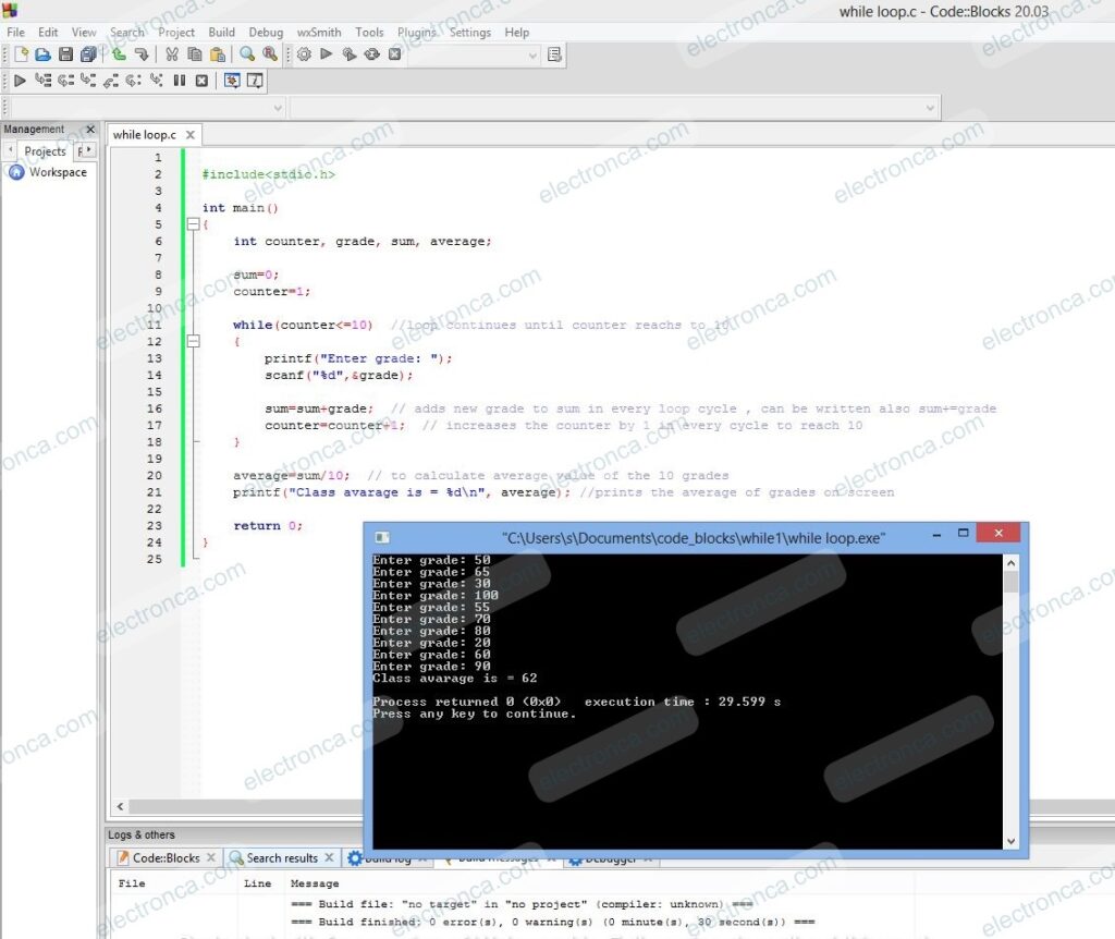 while loop example