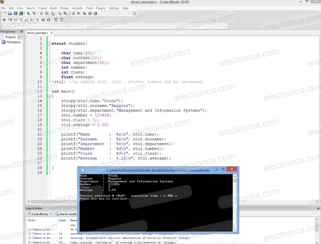 Struct Example