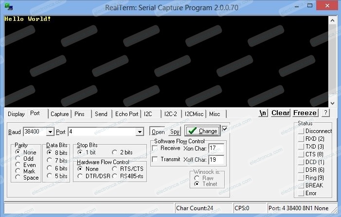 RealTerm Output - DMA Demonstration
